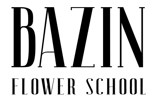 АНПОО Академия искусства Ивана Базина - Город Ростов-на-Дону logo.png